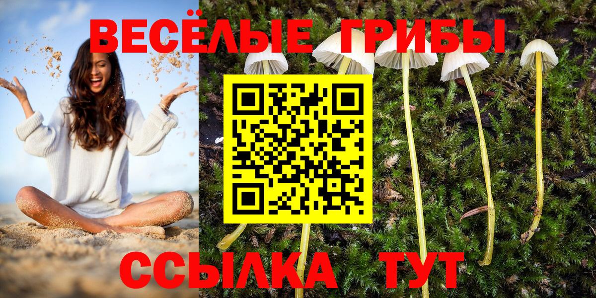 Псилоцибиновые грибы прущие грибы Полысаево