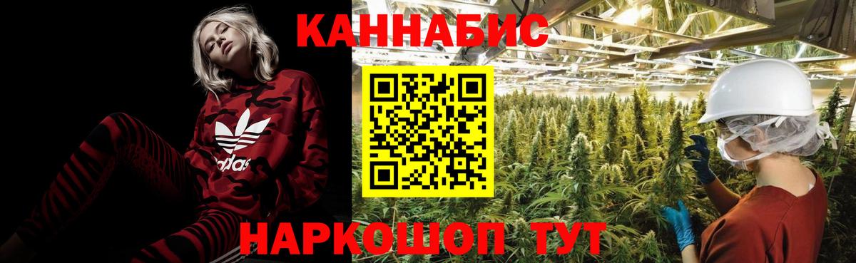 Марихуана SATIVA & INDICA Полысаево